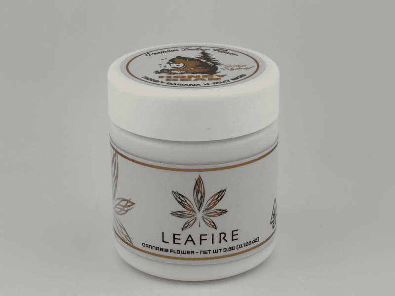 Honey Bear 3.5g jar